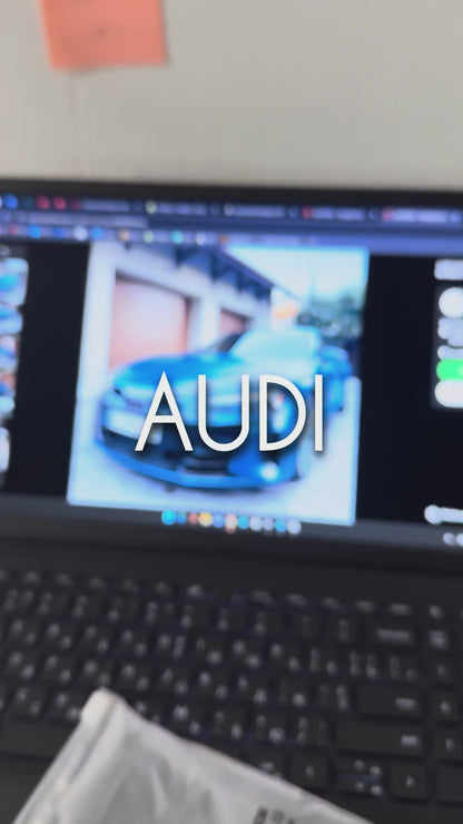 Лонгслів Audi F1